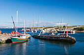 Views of the area just outside of Stanley, the capital and only true city (with a cathedral) in the Falkland Islands, South America