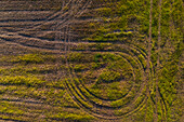 Aerial view of tractor marks on the ground of the fields in La Alfranca area in Zaragoza, Spain