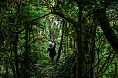 Canopy-Tour in Costa Rica