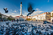 Lisbon, Portugal, March 1 2007, A vibrant flock of pigeons rises into the air in Rossio Square, as visitors enjoy the lively atmosphere and beautiful surroundings.