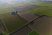 Aerial view of the fields in La Alfranca area in Zaragoza, Spain