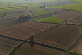 Aerial view of the fields in La Alfranca area in Zaragoza, Spain