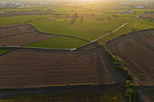 Aerial view of the fields in La Alfranca area in Zaragoza, Spain