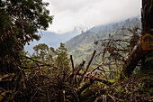 Combeima Canyon, Ibague, Colombia