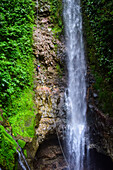 Canyoning and waterfall rappelling experience with Pure Trek in La Fortuna, Costa Rica