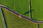 Aerial view of the fields in La Alfranca area in Zaragoza, Spain