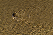 Aerial view of the Ebro River waters