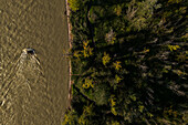 Aerial view of an area of trees next to the Ebro River, Zaragoza