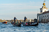 Ein Paar Gondeln befördert Touristen auf dem Canal Grande in Venedig,Italien.