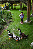 Young girl running behind a group of ducks in Colombia