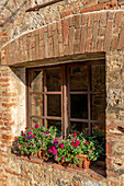 Window in a building in the medieval walled town of Monteriggioni, Sienna, Tuscany, Italy. Potted flowers are on the windowsill.