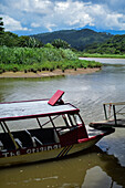 Crocodile and fauna tour boat in Tarcoles River