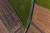 Aerial view of the fields in La Alfranca area in Zaragoza, Spain