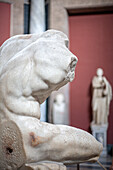 Rome, Italy, July 22 2017, The Belvedere torso is displayed in a side view, highlighting its intricate marble details in the Vatican Museums in Rome.