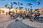 A vibrant flock of pigeons lifts off from the cobblestone square in Rossio, creating a lively atmosphere in the heart of Lisbon.