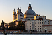 Rückansicht der Basilika Santa Maria della Salute vom Giudecca-Kanal in Venedig,Italien,im Licht des Sonnenuntergangs.