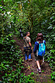 George of the Cloud Forest, guide and specialist, guides a young woman through Monterey cloud forest during fauna tour, Costa Rica