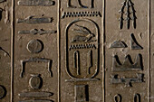 Hieroglyphics in the interior of the pyramid of Unas, complex of Saqqara, Egypt.