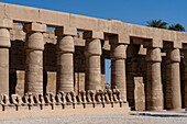 Ram headed sphinxes, Great Forecourt, Temple complex of Karnak, Egypt.