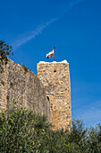 Wachturm auf der Stadtmauer der mittelalterlichen Festungsstadt Monteriggioni,Siena,Toskana,Italien. Von außen betrachtet.