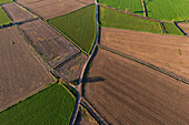 Aerial view of the fields in La Alfranca area in Zaragoza, Spain