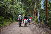 Group of horse riders in Combeima Canyon, Ibague, Colombia