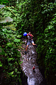 Canyoning and waterfall rappelling experience with Pure Trek in La Fortuna, Costa Rica