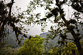 Combeima Canyon, Ibague, Colombia