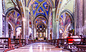 Rome, Italy, July 2017, Gothic interior of Santa Maria Sopra Minerva Basilica, showcasing colorful vaulted ceilings.