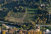 A veiw of olive orchards and grape vineyards in the Umbrian countryside from the hilltop town of Orvieto, Italy.