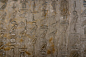 Hieroglyphics in the interior of the pyramid of Unas, complex of Saqqara, Egypt.