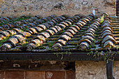 A traditional clay tile roof in the medieval walled town of Monteriggioni, Sienna, Tuscany, Italy.