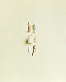 Oat products - oat grains, oat flour, oat flakes, oat bran