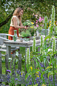 Woman sets table with herbs, vases with fennel, oregano, mint