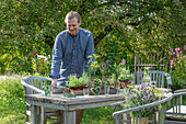 Man decorates garden table, bouquet of flowers with spicy fennel, oregano, mint in the garden