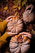 Autumnal pumpkin still life with human hands
