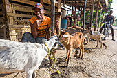 Worker smiling next to goats waiting for slaughter