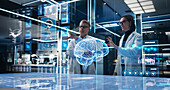 Neuroscientists working with brain hologram
