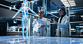 Scientists working with human body hologram