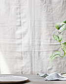 Ceramic plate and linen napkin against a blurred, white fabric background