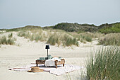 Stylish picnic in the dunes