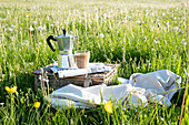 Picnic in the spring meadow with freshly brewed espresso