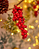 Branch with red berries in front of fairy lights