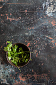 Fresh coriander in a small bowl