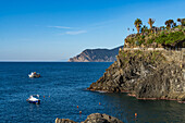 Fischerboote vor der zerklüfteten Küste der Stadt Manarola in den Cinque Terre, Italien. Touristen befinden sich auf einem Aussichtspunkt rechts.