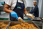 Kitchens for preparing pre-cooked food to distribute among the poorest, Vilassar de Dalt, Ferrer Sustainability Foundation, Barcelona, Spain, Europe. The Ferrer Sustainability Foundation is a non-profit organisation that aims to transform lives and work towards a more equitable and fair society through social cohesion and environmental preservation. We carry out our work through two major projects: Ferrer for Food and Green for Good, through which we seek to generate the greatest impact for the benefit of people and the planet.