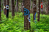 Oma Forest is a work of art by Agustin Ibarrola, a Basque sculptor and painter, in the natural reserve of Urdaibai, Oma, Vizcaya, Basque country Euskadi, Spain