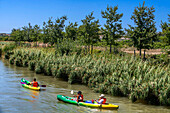 Kayaking in the canal du midi a Trèbes, France. Boat in the Canal du Midi near Carcassonne Aude South of France southern waterway waterways holidaymakers queue for a boat trip on the river, France, Europe