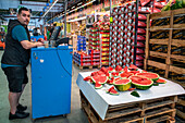 Fruit and Vegetable section, in Mercabarna. Barcelona´s Central Markets. Barcelona. Spain