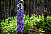 Oma Forest is a work of art by Agustin Ibarrola, a Basque sculptor and painter, in the natural reserve of Urdaibai, Oma, Vizcaya, Basque country Euskadi, Spain